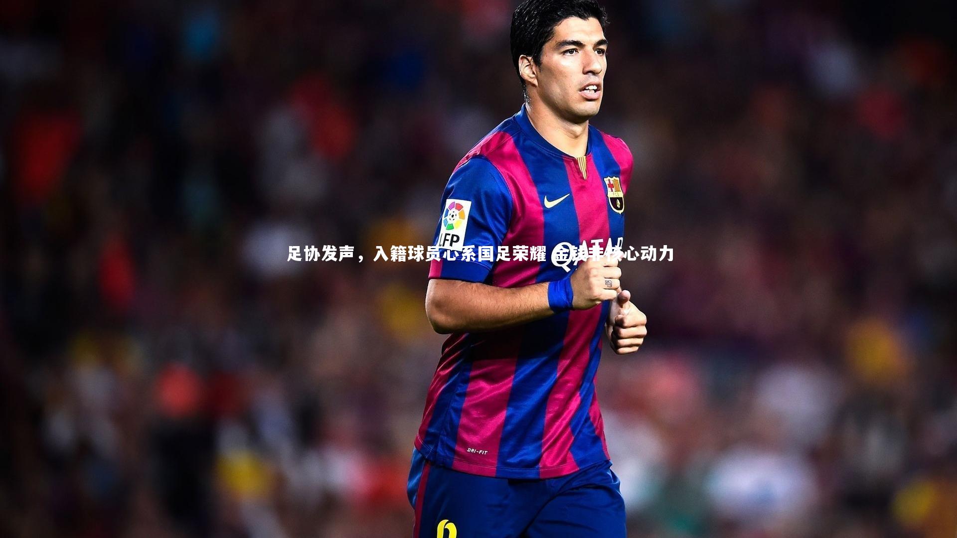 足协发声，入籍球员心系国足荣耀 金钱非核心动力